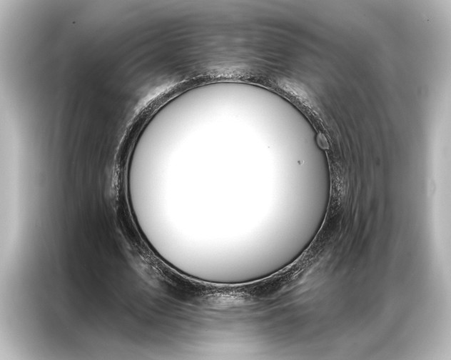X0000087040583200705021138