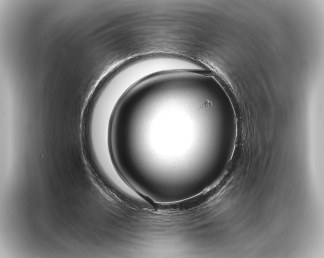 X0000087040584200705021138