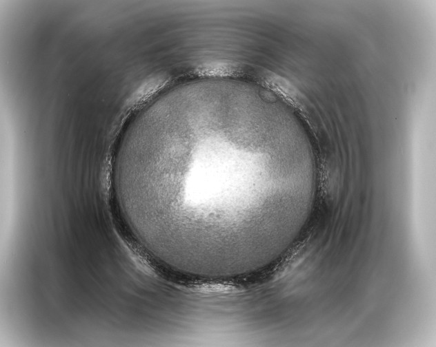 X0000087040586200705021138