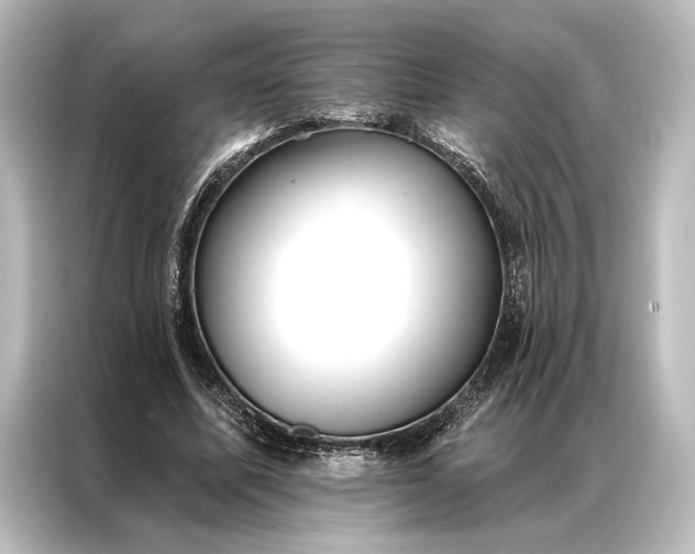 X0000087040587200705021138