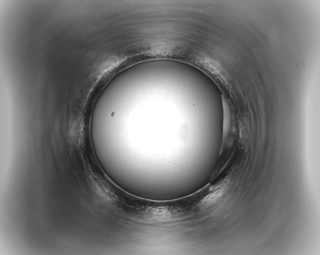 X0000087040588200705021138