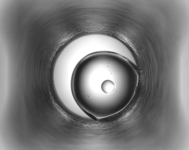 X0000087040589200705021138
