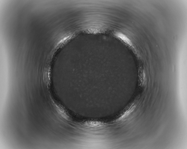 X0000087040590200705021138