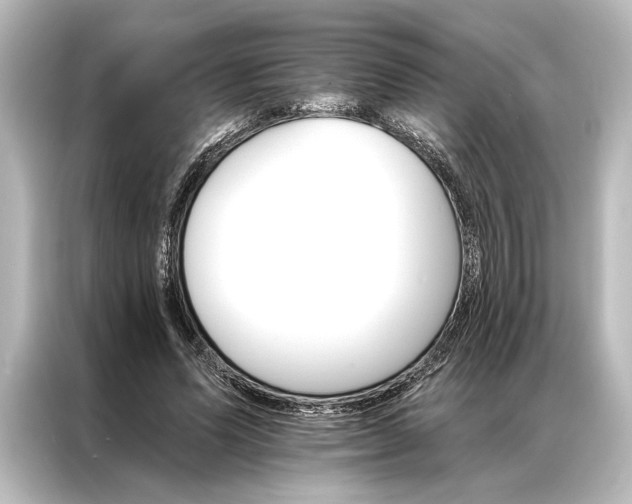 X0000087040591200705021138