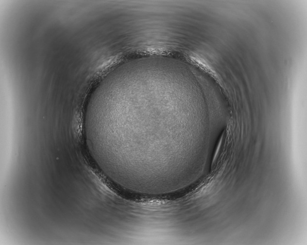 X0000087040593200705021138