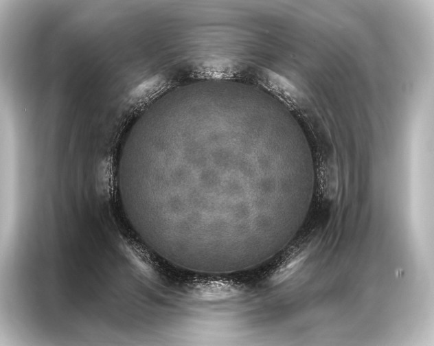 X0000087040594200705021138