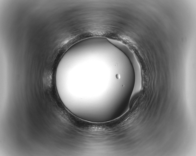 X0000087040596200705021138