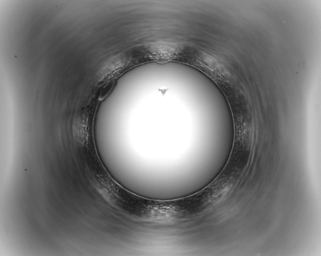 X0000087040599200705021138