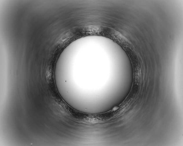 X0000087040608200705021138