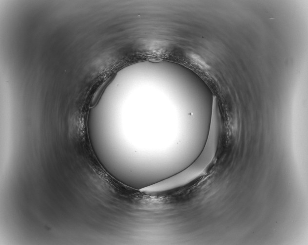 X0000087040613200705021138