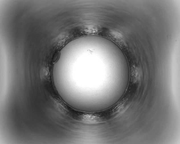 X0000087040614200705021138