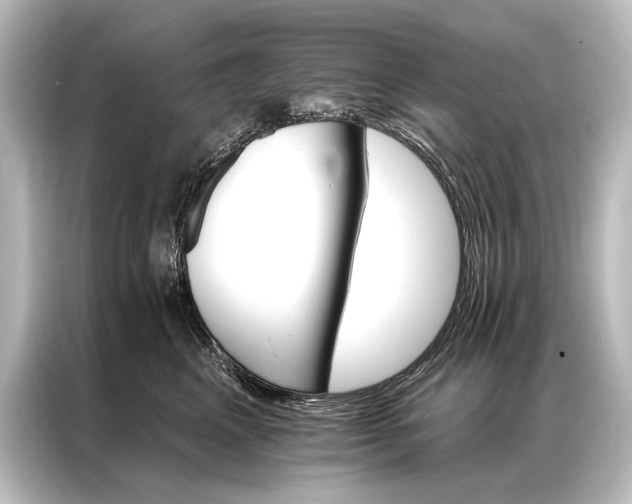 X0000087040617200705021138