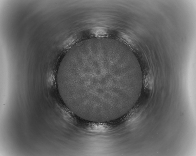 X0000087040618200705021138