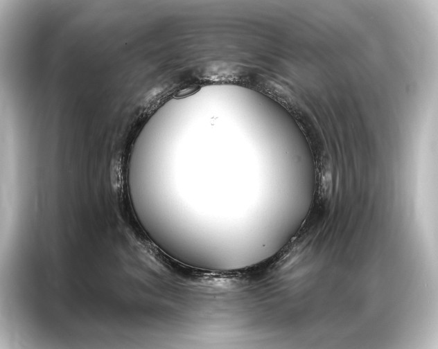 X0000087040620200705021138