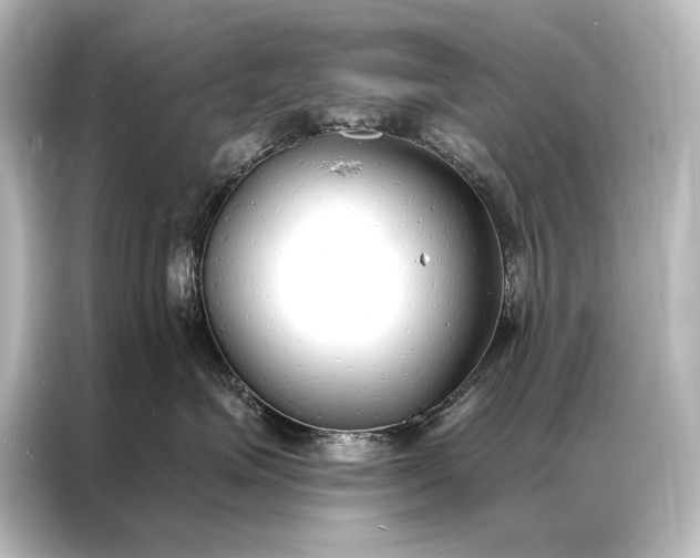 X0000087040623200705021138