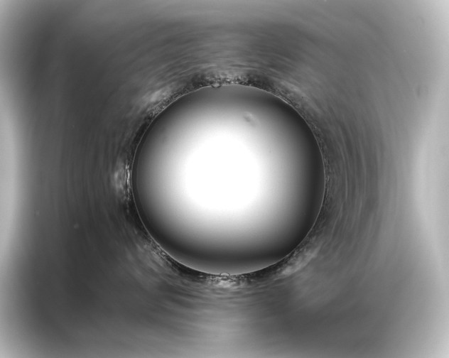 X0000087040624200705021138