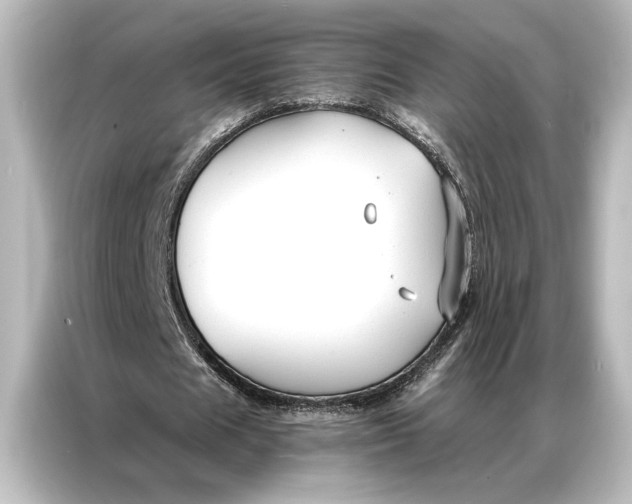 X0000087040625200705021137