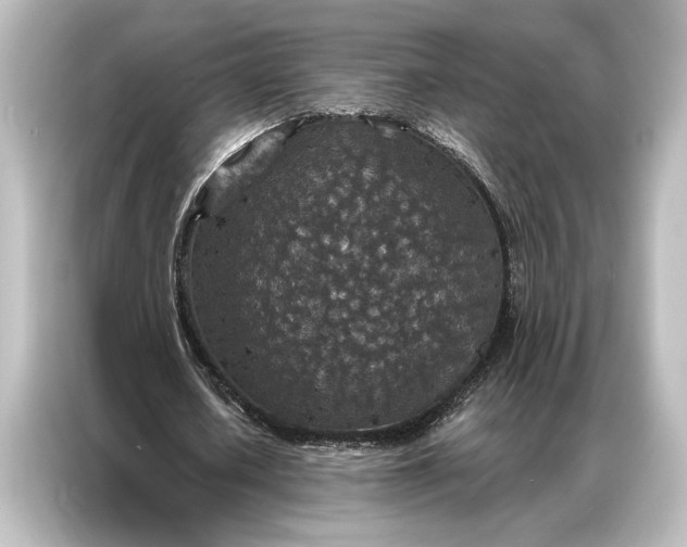 X0000087040626200705021137