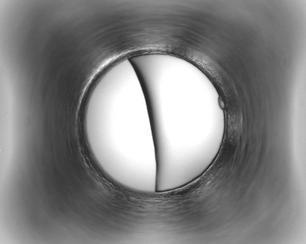 X0000087040628200705021137