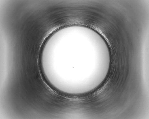X0000087040629200705021137