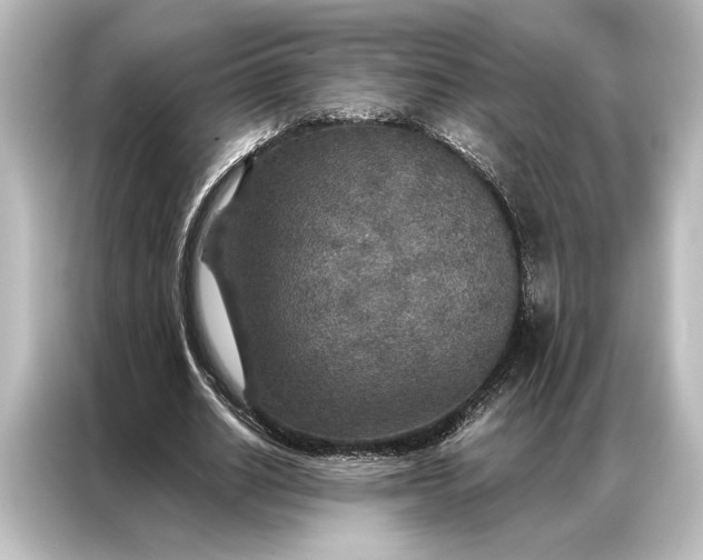 X0000087040630200705021137
