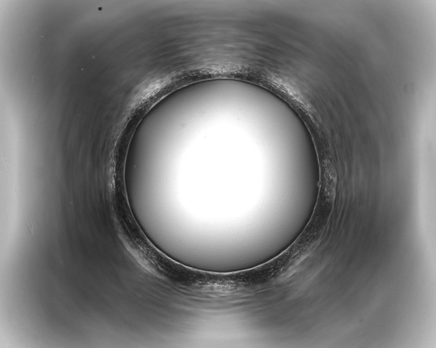 X0000087040631200705021137