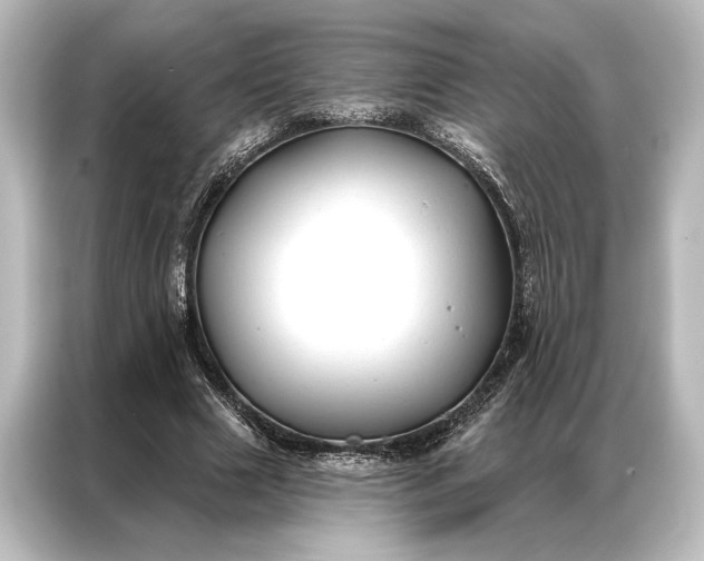 X0000087040633200705021137