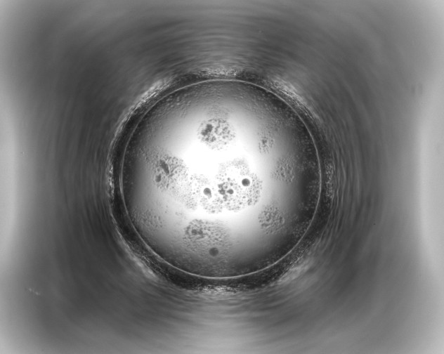 X0000087040634200705021137