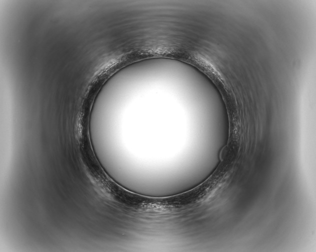 X0000087040635200705021137