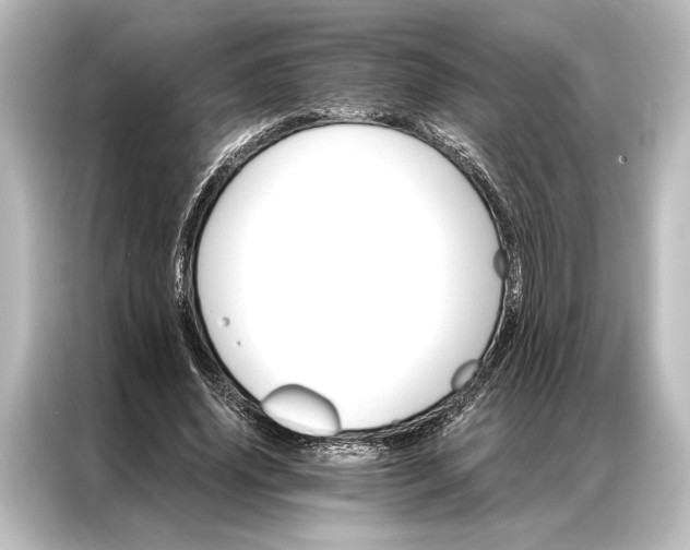 X0000087040636200705021137