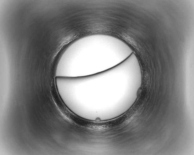 X0000087040638200705021137