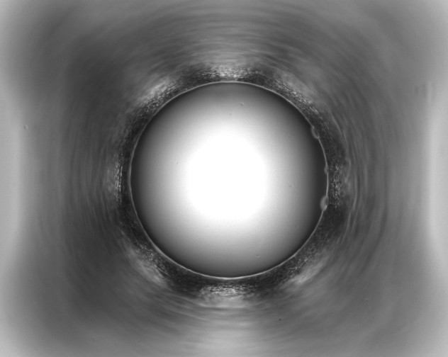 X0000087040639200705021137