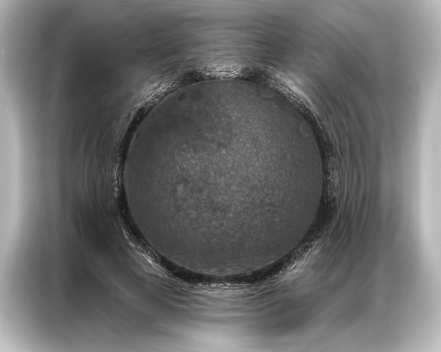 X0000087040641200705021137