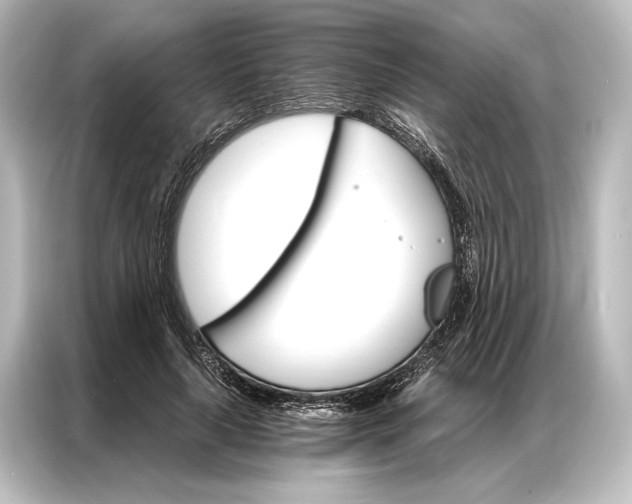 X0000087040643200705021137