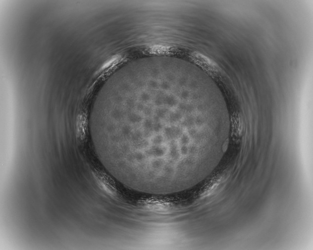 X0000087040648200705021137