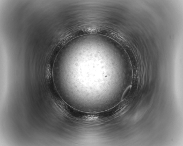 X0000087040651200705021137