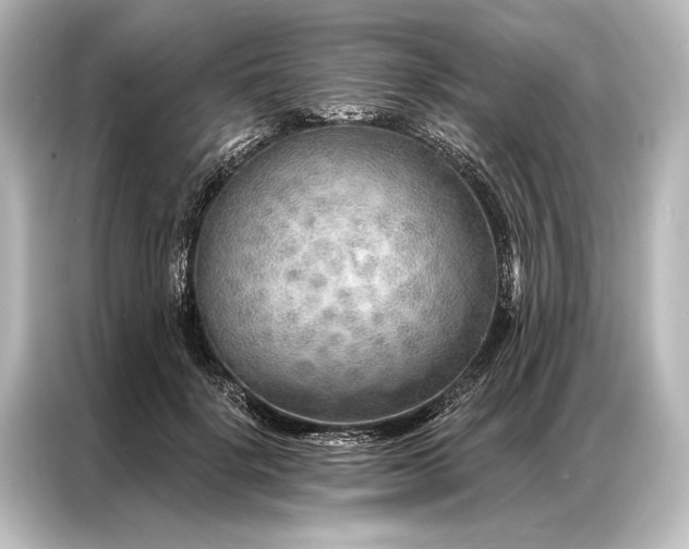 X0000087040652200705021137