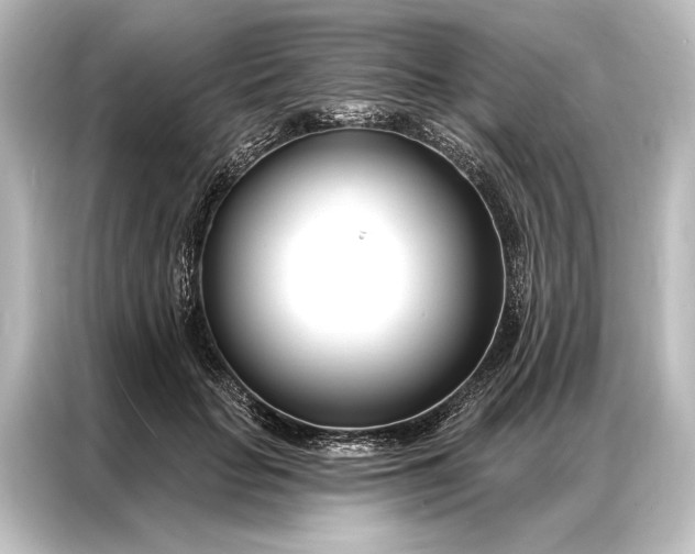 X0000087040653200705021137