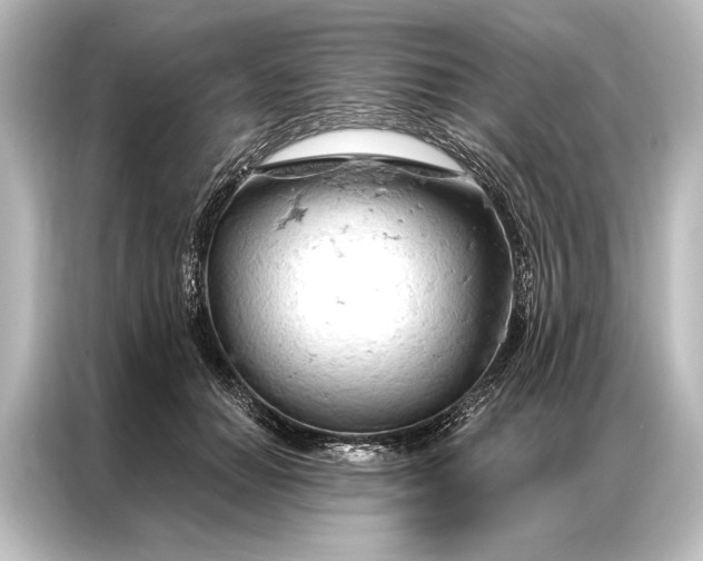 X0000087040654200705021137
