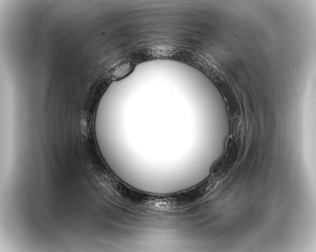 X0000087040655200705021137