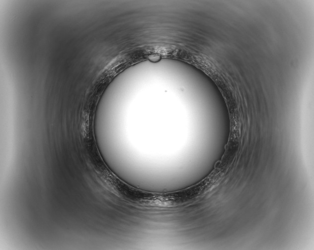X0000087040656200705021137