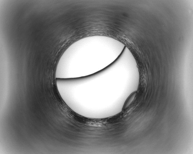 X0000087040661200705021137