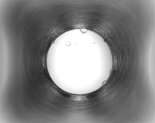 X0000087040663200705021137