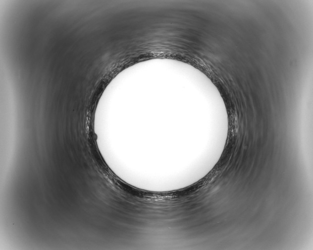 X0000087040664200705021138