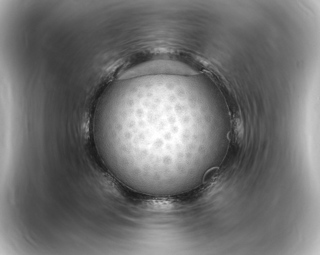 X0000087040668200705021138