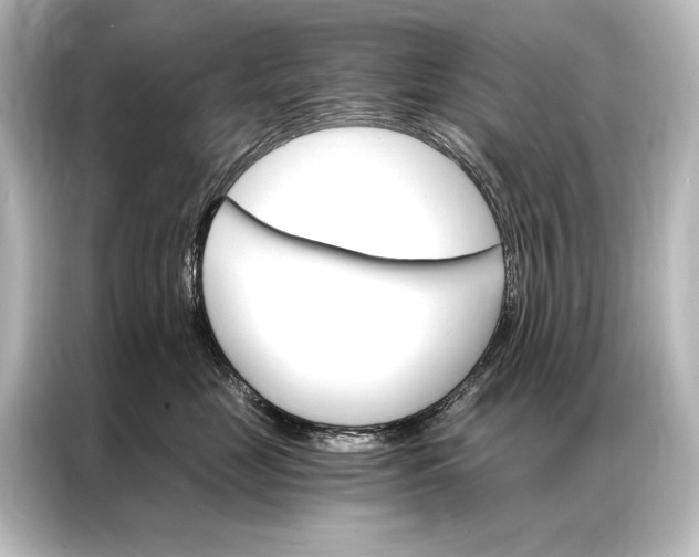 X0000087040669200705021138