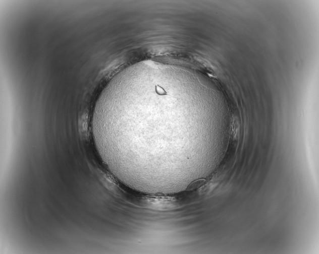 X0000087040670200705021138