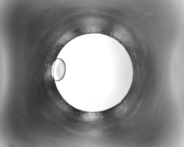 X0000087040672200705021138