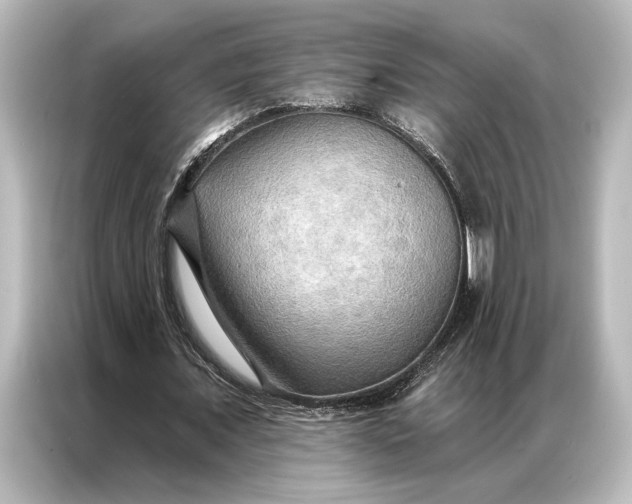 X0000087040675200705021137