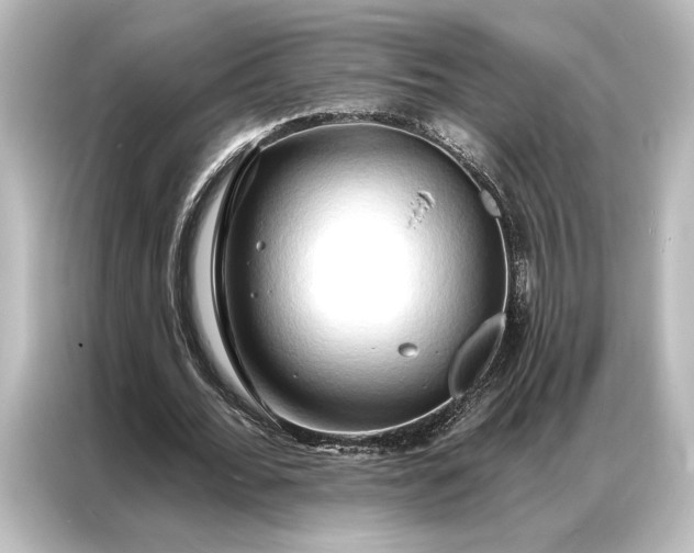 X0000087040676200705021137